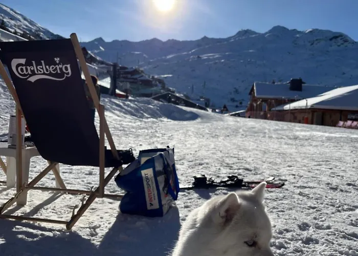 Appartement Les Menuires - 4 Personnes A 20 M Des Pistes