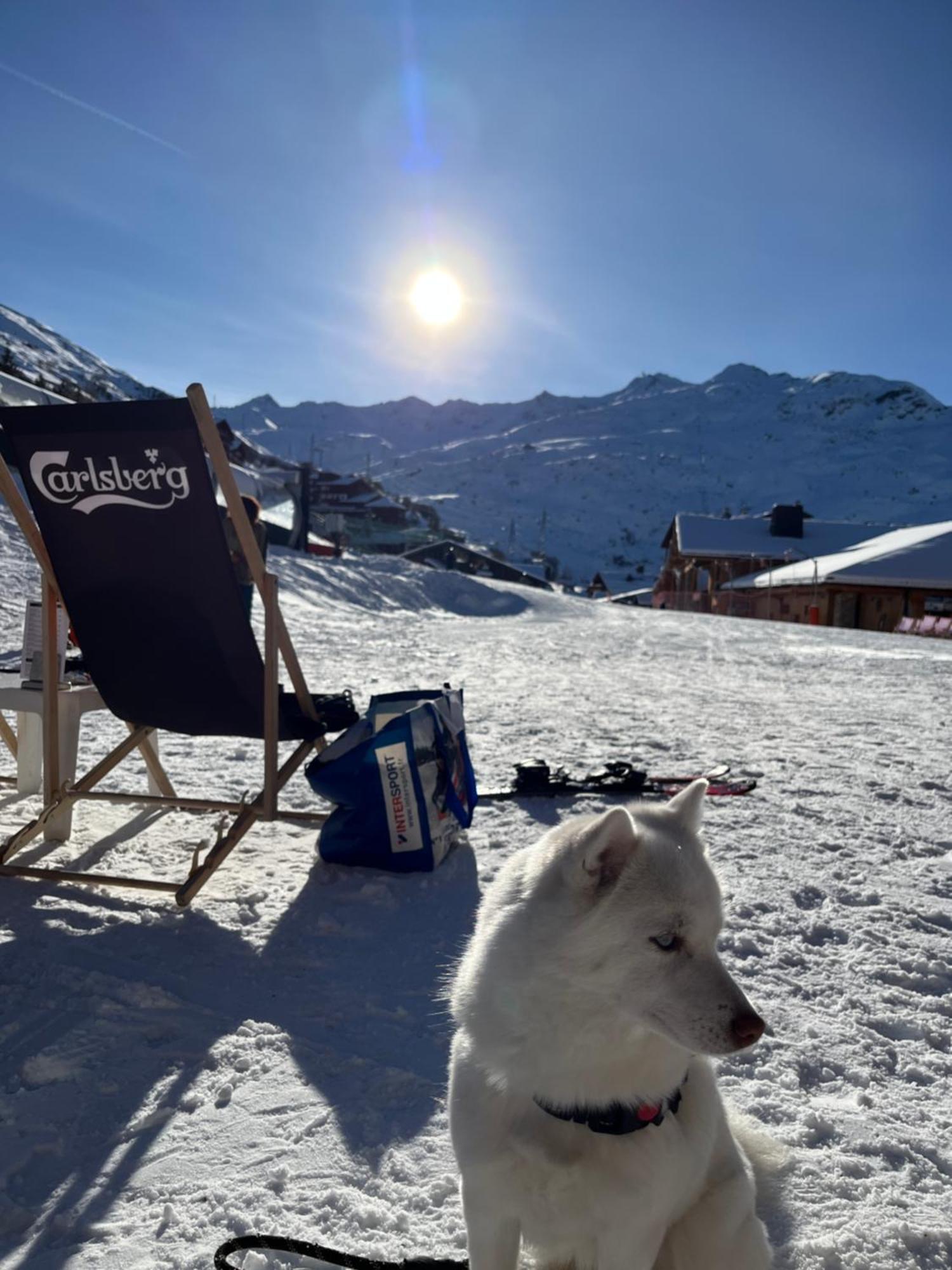 Les Menuires - 4 Personnes A 20 M Des Pistes *