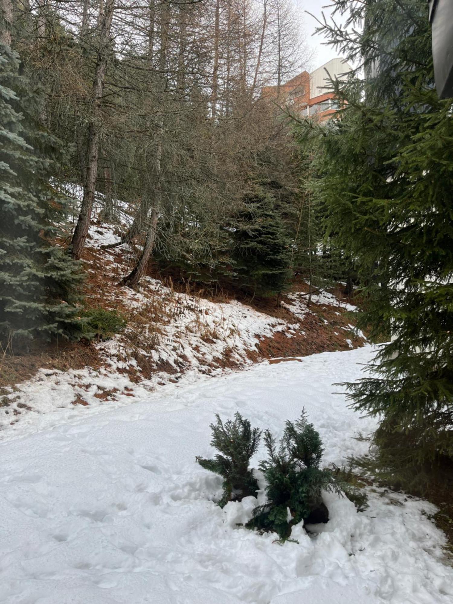 Les Menuires - 4 Personnes A 20 M Des Pistes